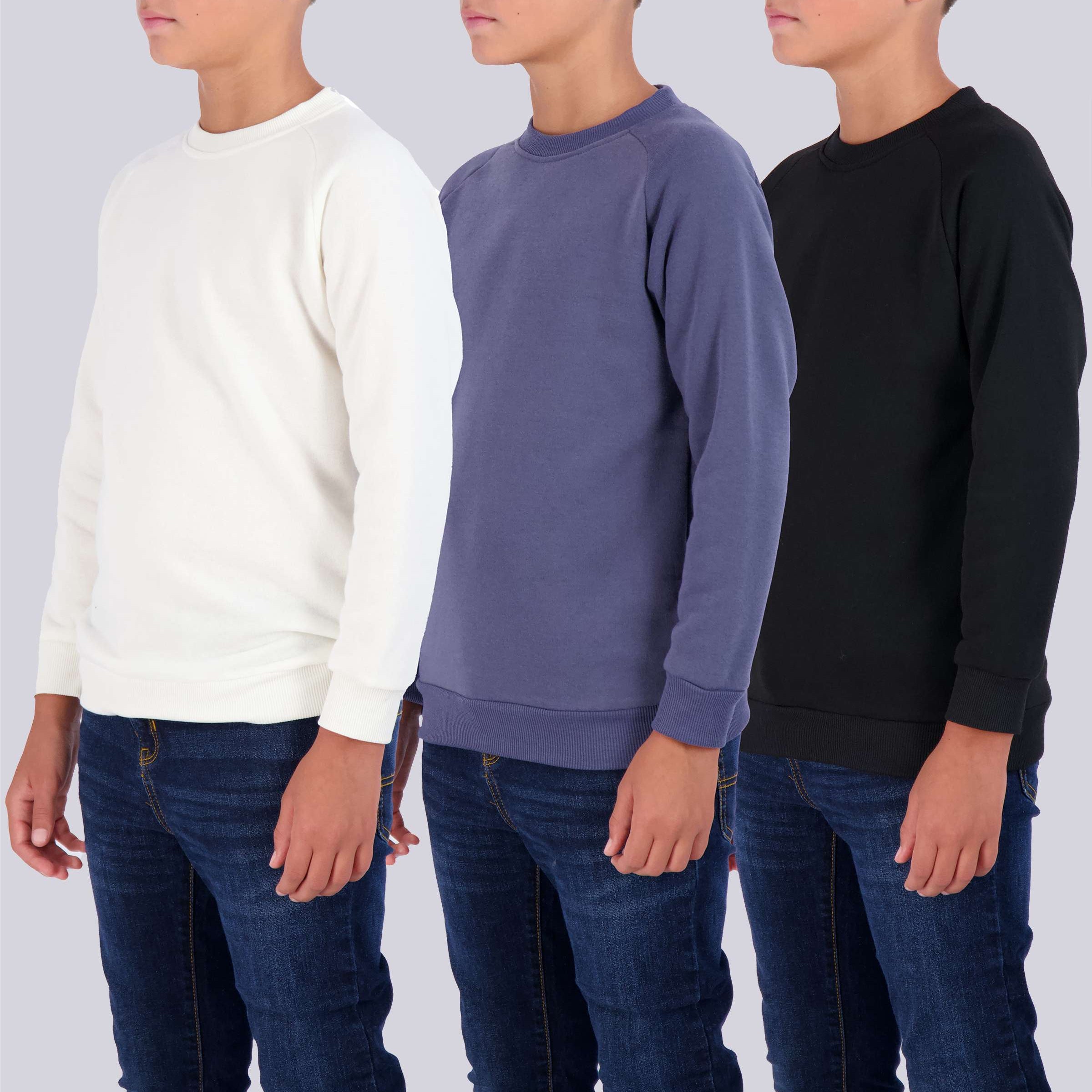 3 Pack: Boys Fleece Crew-Neck Pullover Sweatshirt